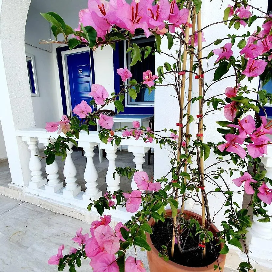 Dreams Bodrum Hotel Bed & Breakfast