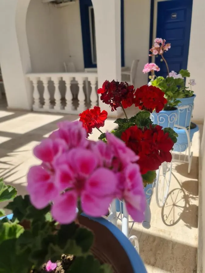 Bed & Breakfast Dreams Bodrum Hotel Turchia